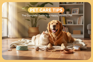 Golden retriever and cat relaxing together at home, embodying PET CARE TIPS for a happy, healthy pet.